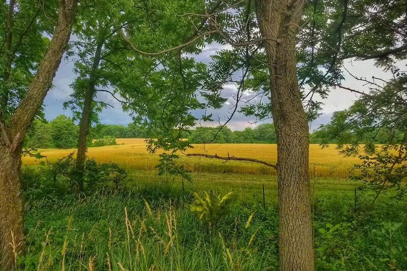 This Old Railroad Near Peoria Has Become A Shaded Illinois Bike Trail Linking Small Towns For Miles