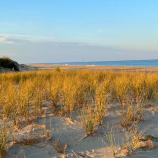 This Delaware State Park Has the Atlantic on One Side and Bays on the Other