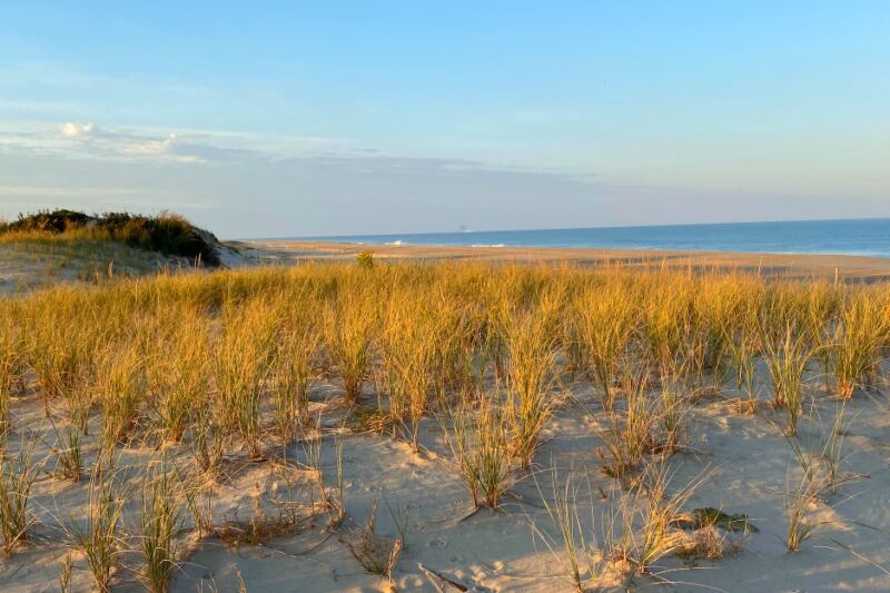 This Delaware State Park Has the Atlantic on One Side and Bays on the Other