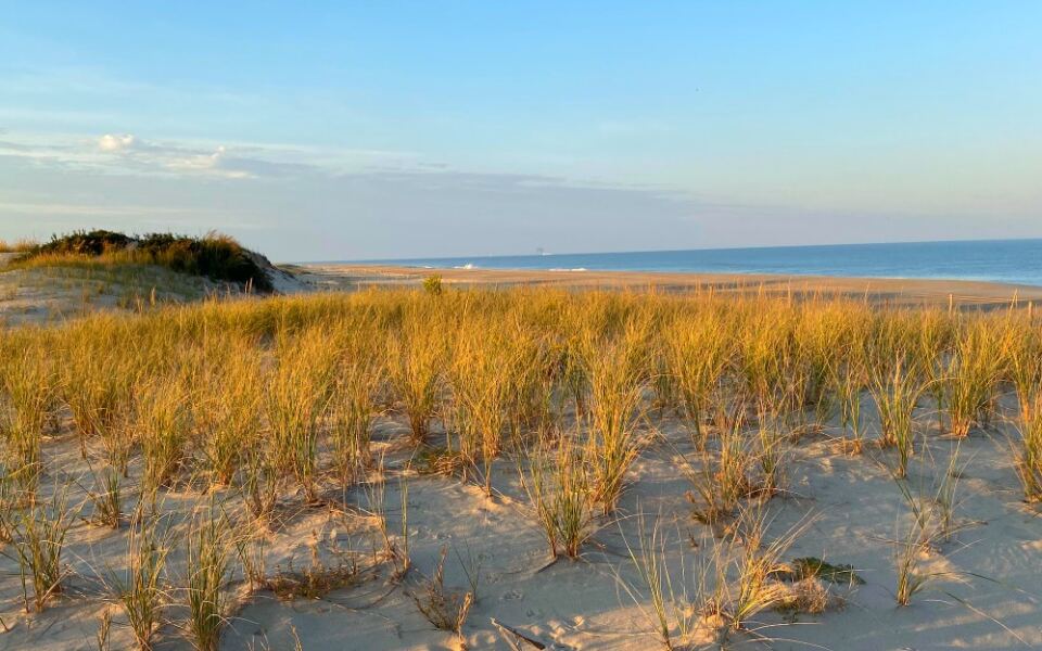 This Delaware State Park Has the Atlantic on One Side and Bays on the Other