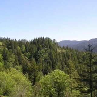 This 6.3-Mile Oregon Trail Winds Through Ancient Spruce and Ocean Views With a Story Worth the Walk