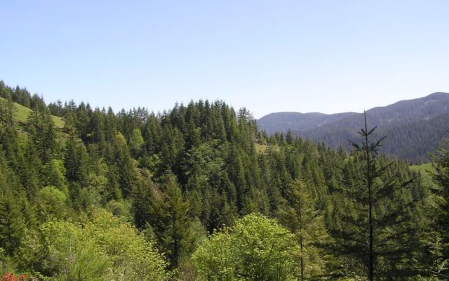This 6.3-Mile Oregon Trail Winds Through Ancient Spruce and Ocean Views With a Story Worth the Walk