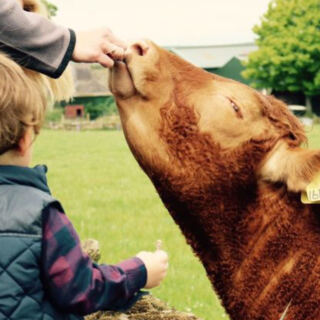 12 European Regions Where Staying On A Farm Is Part Of The Experience