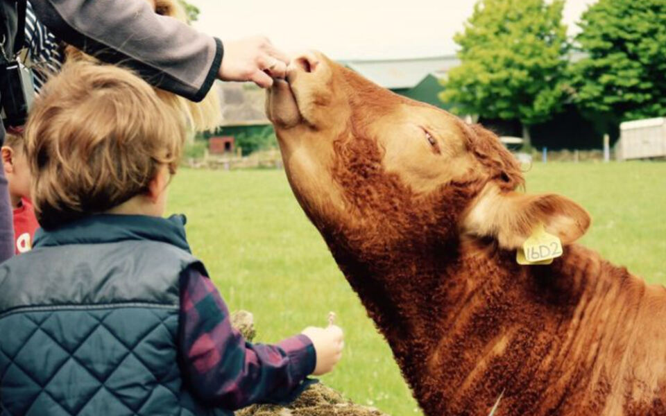 12 European Regions Where Staying On A Farm Is Part Of The Experience