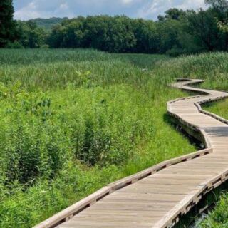 This Short New Jersey Trail Turns One Easy Mile Into A Picture-Perfect Walk