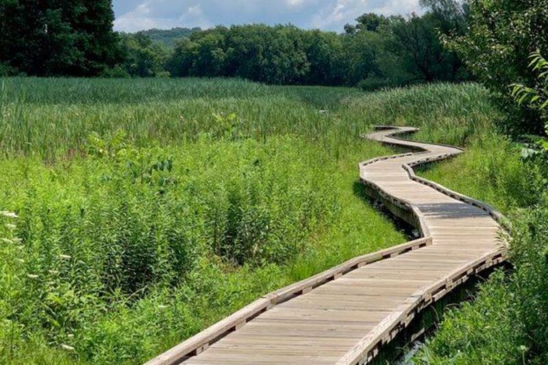 This Short New Jersey Trail Turns One Easy Mile Into A Picture-Perfect Walk