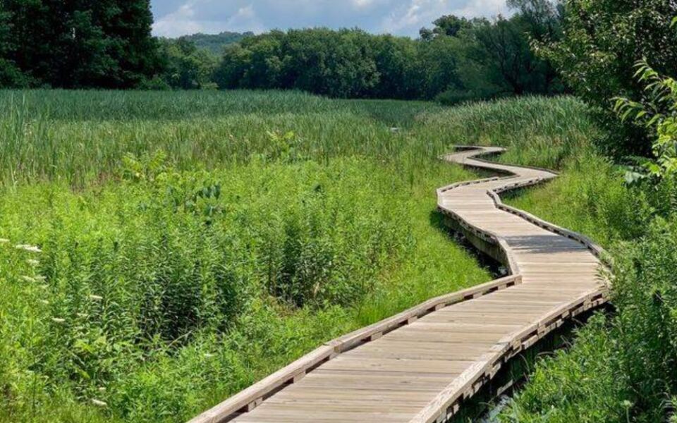 This Short New Jersey Trail Turns One Easy Mile Into A Picture-Perfect Walk