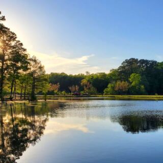 This Arkansas Lake Park Is Known for Fishing, Wildlife, and Relaxing Forest Surroundings