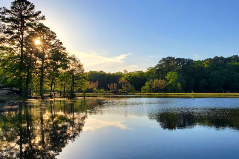 This Arkansas Lake Park Is Known for Fishing, Wildlife, and Relaxing Forest Surroundings