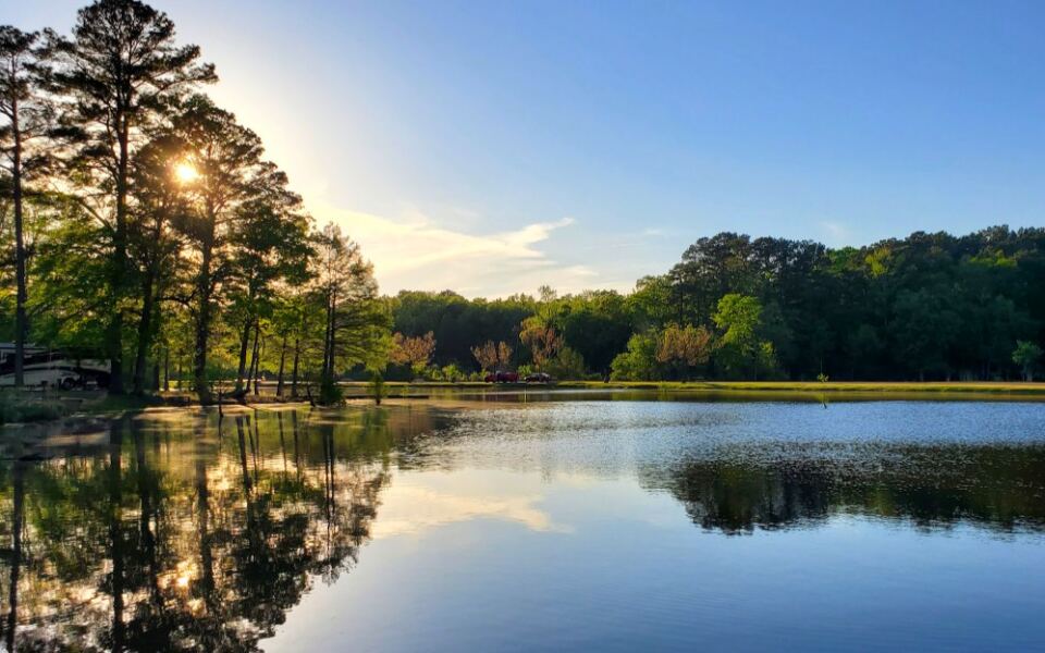 This Arkansas Lake Park Is Known for Fishing, Wildlife, and Relaxing Forest Surroundings