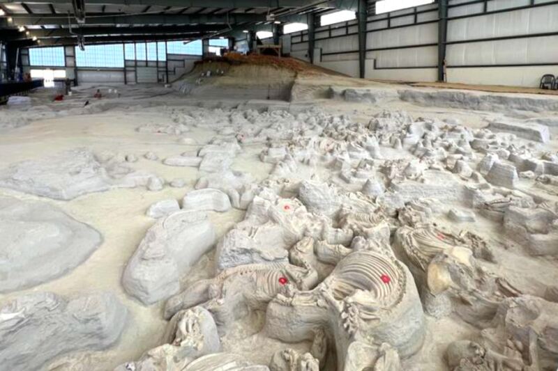 This Remarkable Site Preserves One of the World’s Most Significant Fossil Discoveries