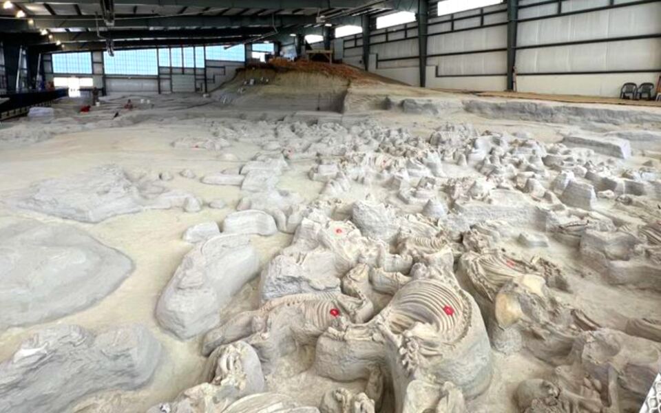 This Remarkable Site Preserves One of the World’s Most Significant Fossil Discoveries