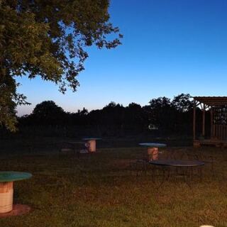 You’ll Lose A Whole Evening At This Oklahoma Winery Tucked In The Woods Near Lake Thunderbird