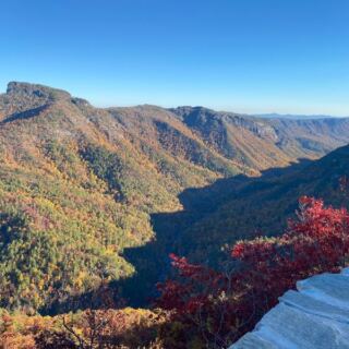 North Carolina Has Its Own Grand Canyon, and a Half-Mile Walk Drops You at a 1,500-Foot View