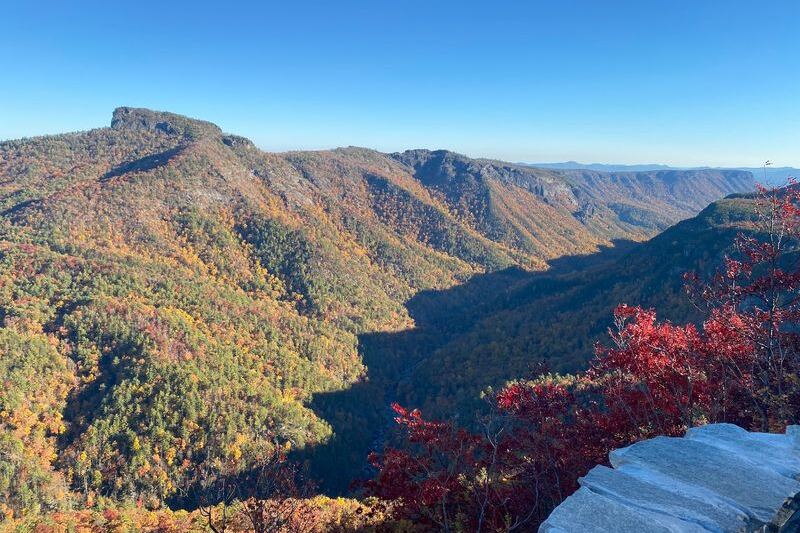 North Carolina Has Its Own Grand Canyon, and a Half-Mile Walk Drops You at a 1,500-Foot View