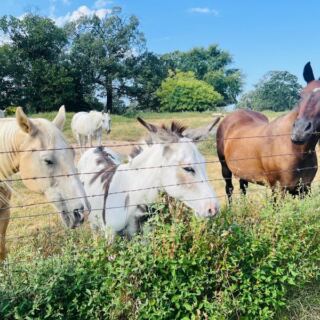 This Oklahoma Working Ranch Lets You Explore 500 Acres On Horseback