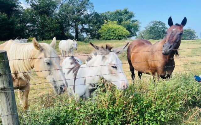 This Oklahoma Working Ranch Lets You Explore 500 Acres On Horseback