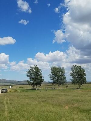 Arizona’s Oldest Winery Lets You Sip Estate Reds Right Where the Grapes Grow Near Elgin