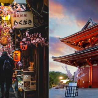 17 Best Things To Do In Tokyo For First-Time Visitors, According To Travelers