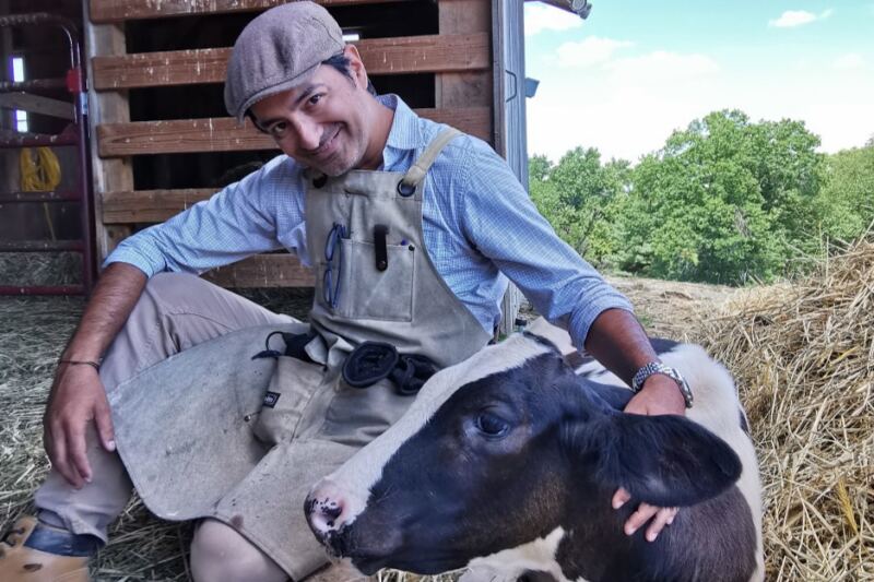 Few People Know New Jersey Hides a Sanctuary Where Rescued Farm Animals Meet Visitors Up Close