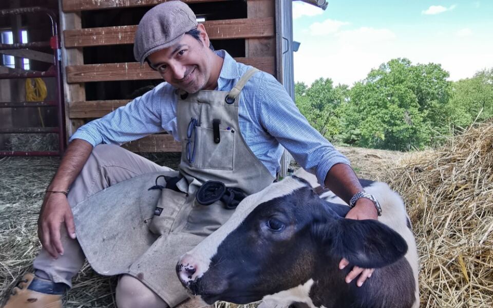 Few People Know New Jersey Hides a Sanctuary Where Rescued Farm Animals Meet Visitors Up Close
