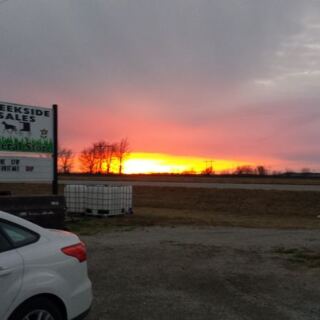 7 Oklahoma Amish Grocery Stores Don’t Advertise but Locals Swear by the Fresh-Baked Shelves
