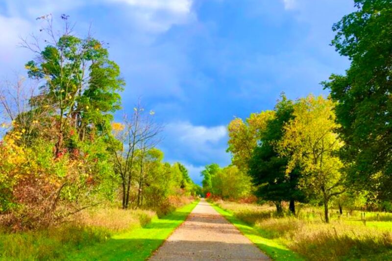 This 92-Mile Michigan Trail Winds Through Forests, Small Towns, and Scenic Countryside