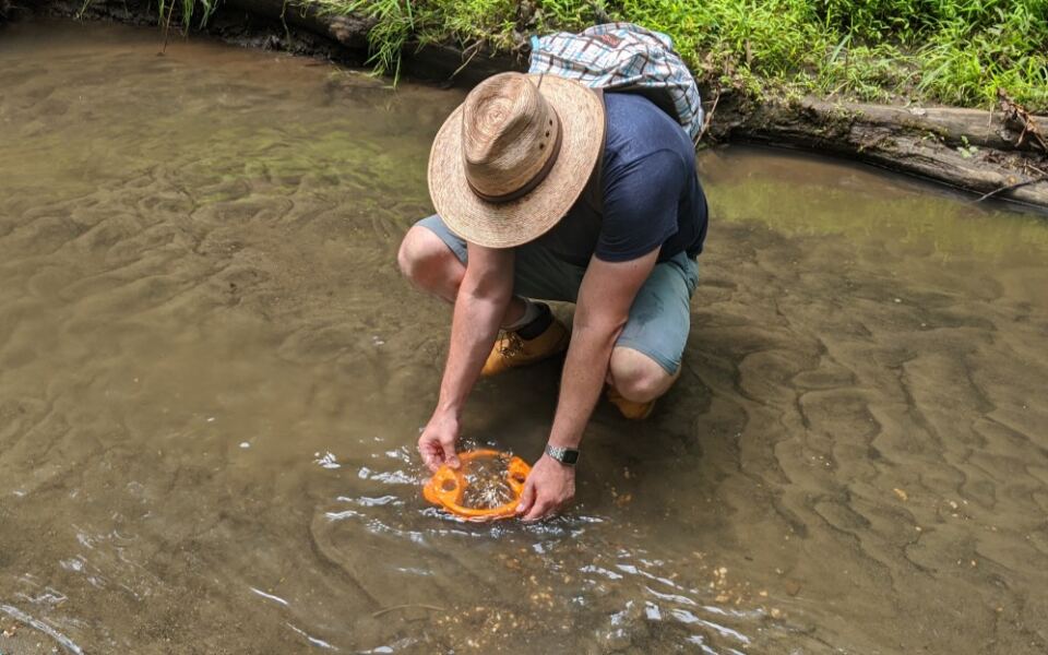 This New Jersey Fossil Bed Lets You Dig Through A Creek For Cretaceous Shark Teeth