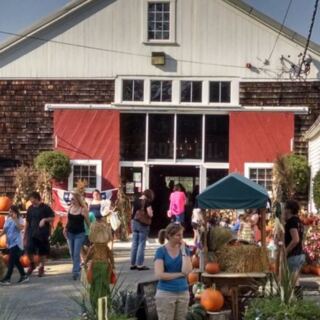This Family-Run Massachusetts Orchard Presses Its Own Cider Into Doughnuts You Grab After Picking Apples