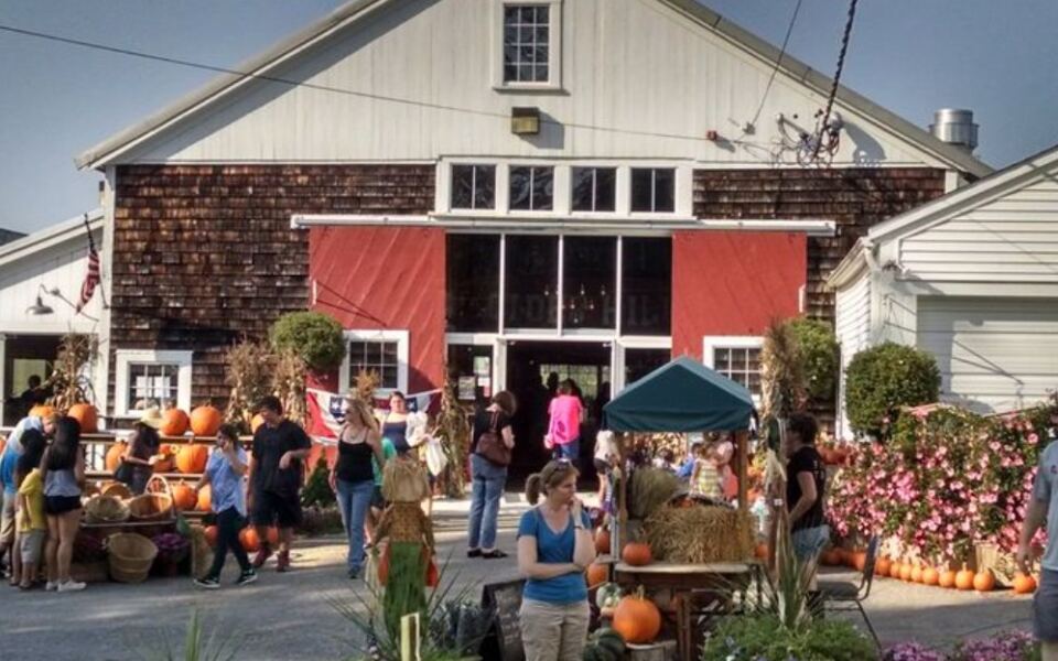 This Family-Run Massachusetts Orchard Presses Its Own Cider Into Doughnuts You Grab After Picking Apples
