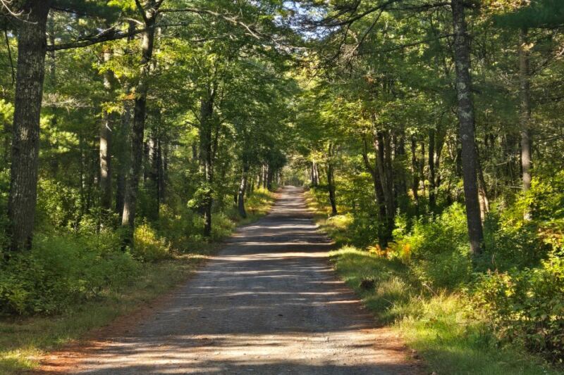 This Massachusetts State Forest Hides Peaceful Trails With a Haunting Reputation That Turns Eerie After Dark