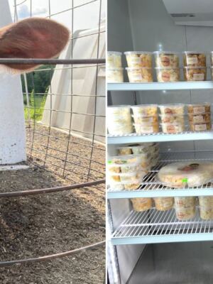 This Family-Run Western Massachusetts Dairy Pours Fresh Creamline Milk and Lets You Meet the Cows on Your Way to the Shop