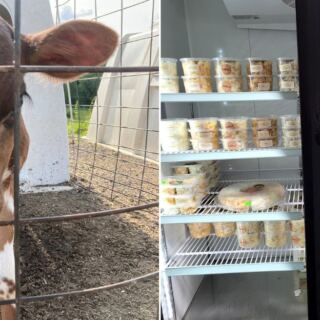 This Family-Run Western Massachusetts Dairy Pours Fresh Creamline Milk and Lets You Meet the Cows on Your Way to the Shop