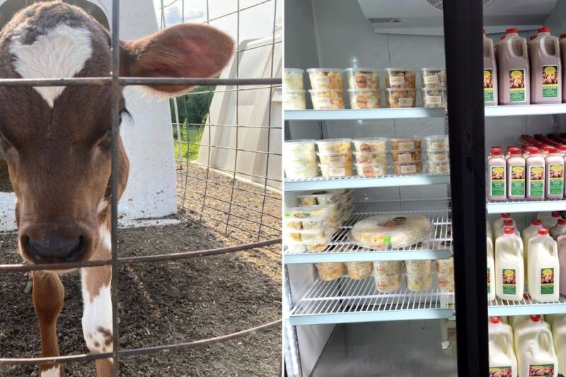 This Family-Run Western Massachusetts Dairy Pours Fresh Creamline Milk and Lets You Meet the Cows on Your Way to the Shop