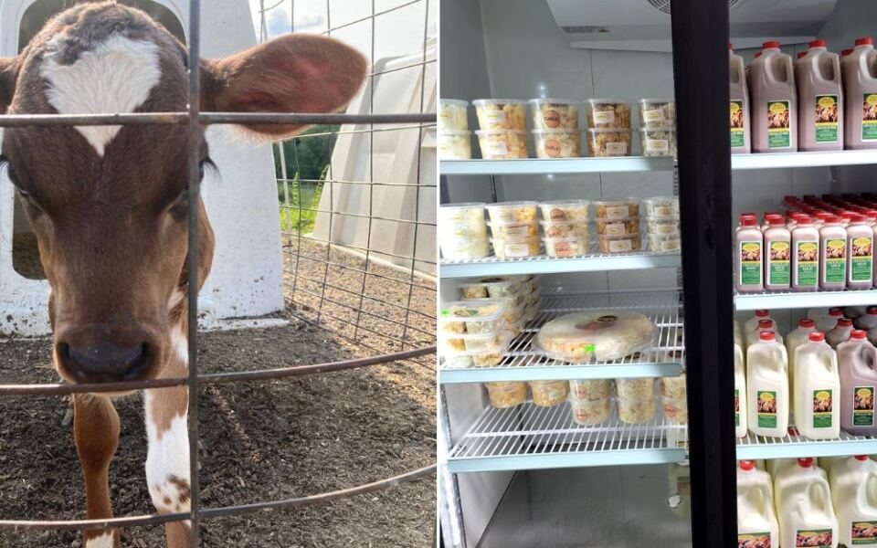 This Family-Run Western Massachusetts Dairy Pours Fresh Creamline Milk and Lets You Meet the Cows on Your Way to the Shop