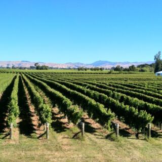 15 Destinations Where the Vineyards Are as Memorable as the Wine