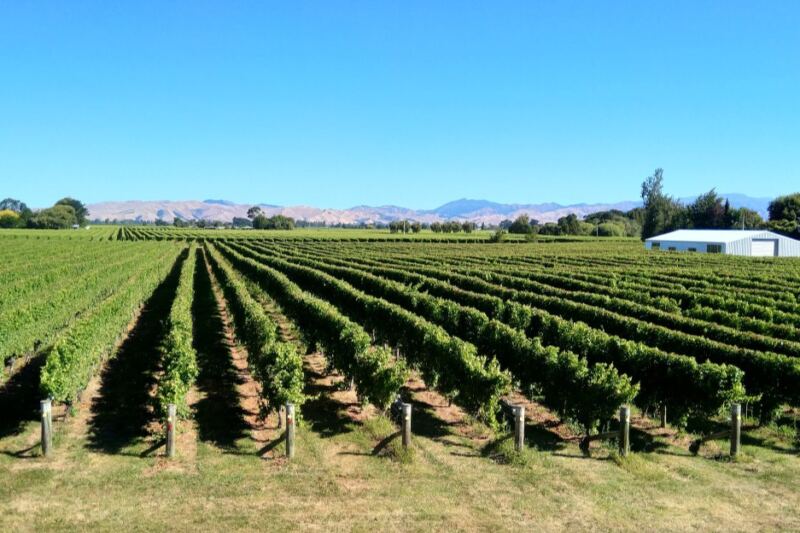 15 Destinations Where the Vineyards Are as Memorable as the Wine