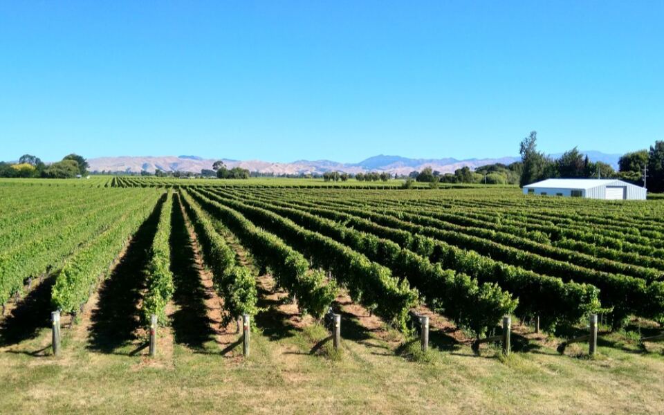 15 Destinations Where the Vineyards Are as Memorable as the Wine