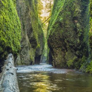 This Hidden Oregon Slot Canyon Hides a Secret Waterfall Behind Moss-Draped Walls