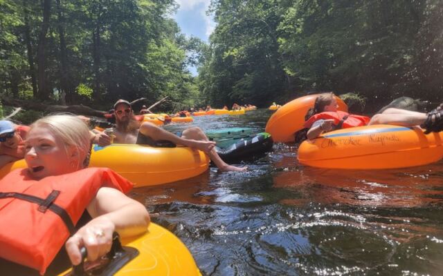 This Affordable North Carolina Mountain Float Drifts You Past Wild Elk on the Oconaluftee River
