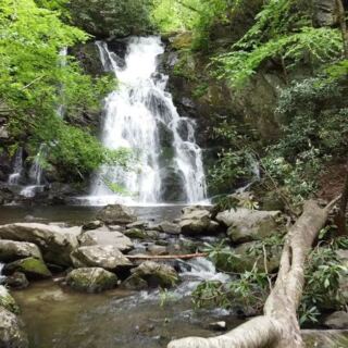 These 7 Short Tennessee Hikes Pack More Jaw-Dropping Scenery Into One Mile Than Most Trails Do In Five