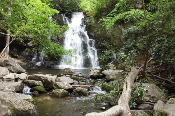 These 7 Short Tennessee Hikes Pack More Jaw-Dropping Scenery Into One Mile Than Most Trails Do In Five