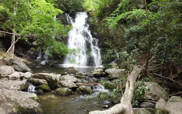 These 7 Short Tennessee Hikes Pack More Jaw-Dropping Scenery Into One Mile Than Most Trails Do In Five