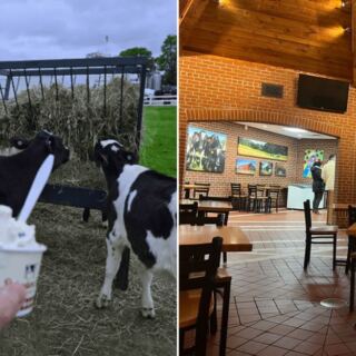 This Massachusetts Dairy Farm Has Stayed in One Family Since 1695 and Still Churns Its Own Ice Cream on Site