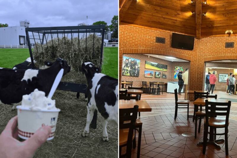 This Massachusetts Dairy Farm Has Stayed in One Family Since 1695 and Still Churns Its Own Ice Cream on Site