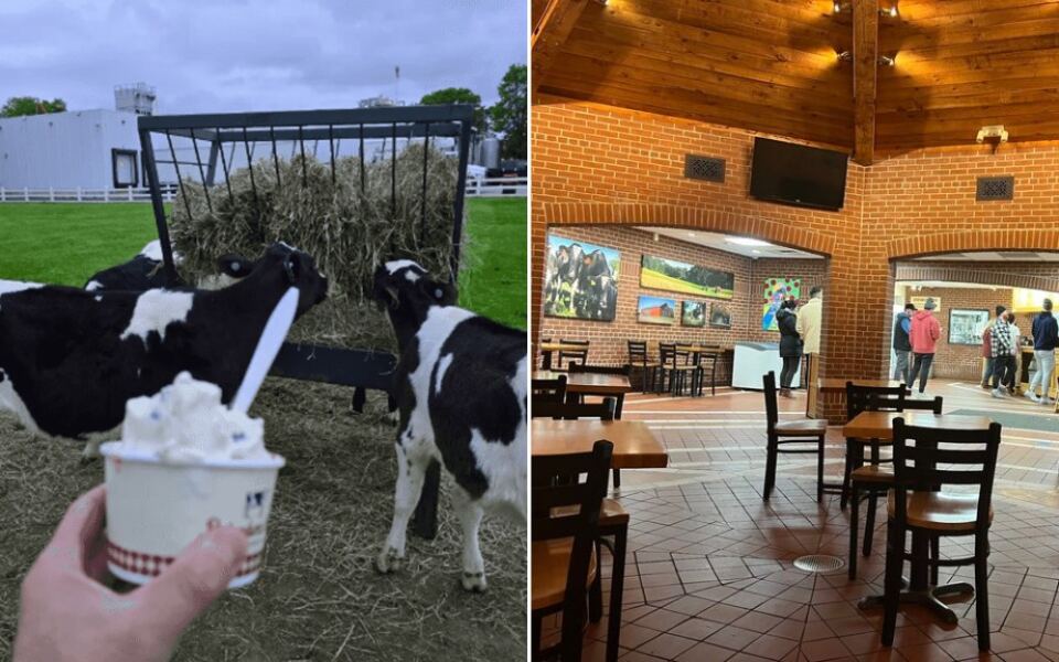 This Massachusetts Dairy Farm Has Stayed in One Family Since 1695 and Still Churns Its Own Ice Cream on Site