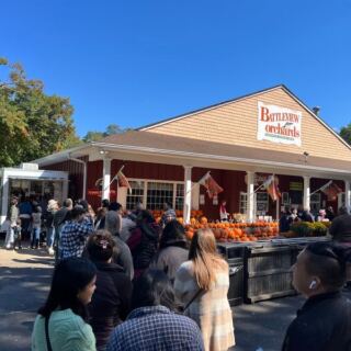 At This New Jersey Orchard, Warm Apple Cider Donuts Come With Pick-Your-Own Apples