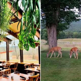 The Drive to This Out-of-the-Way New Jersey Restaurant Ends With Prime Rib and Deer Watching