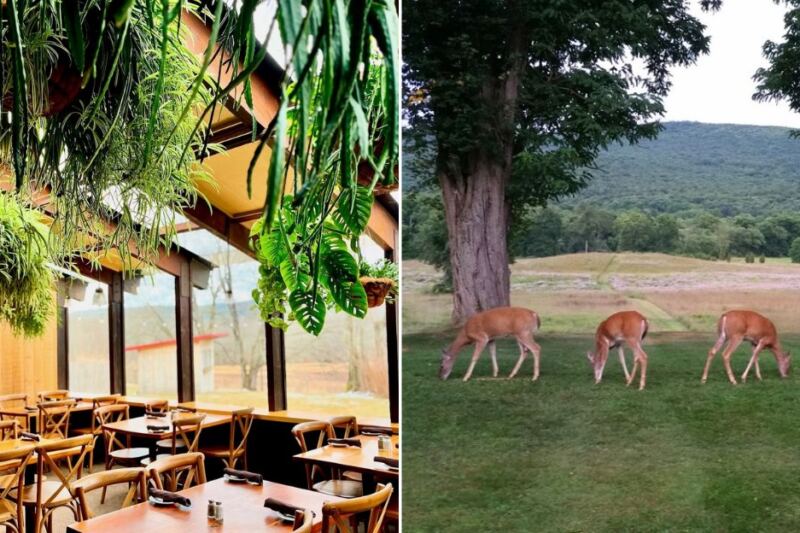 The Drive to This Out-of-the-Way New Jersey Restaurant Ends With Prime Rib and Deer Watching