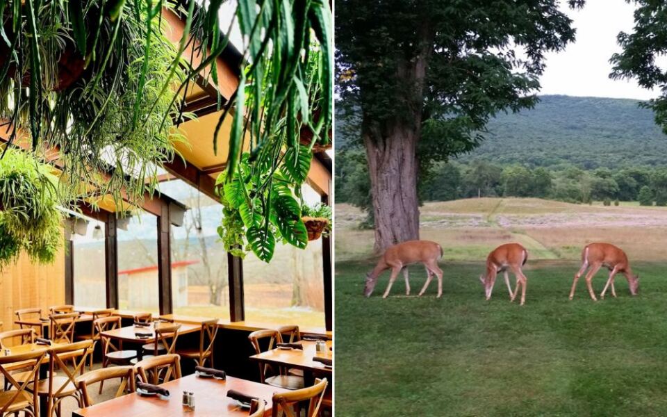 The Drive to This Out-of-the-Way New Jersey Restaurant Ends With Prime Rib and Deer Watching
